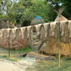 From Farm to Factory: The Journey of Raw Jute