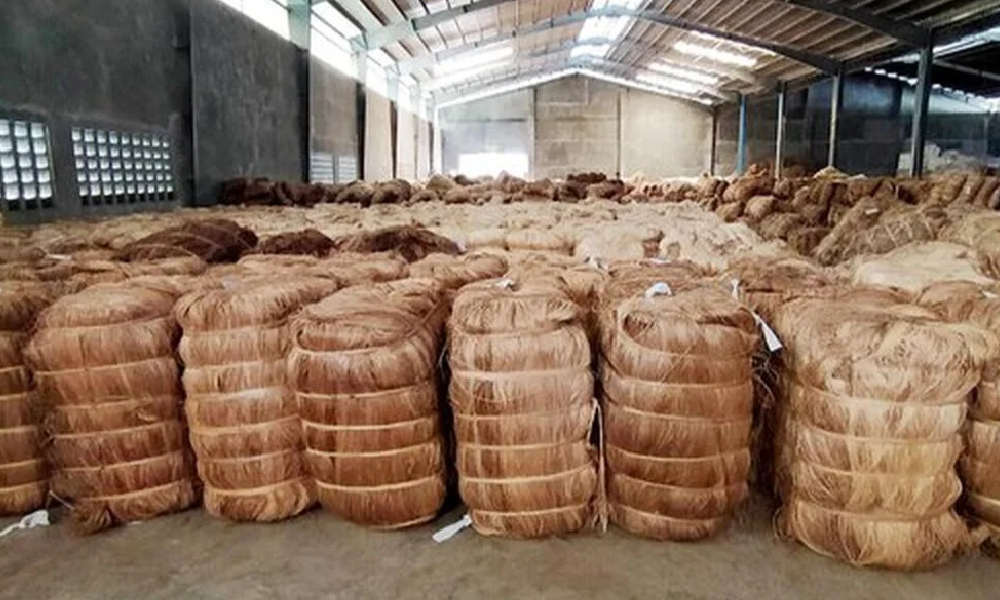 Grading and Baling Jute