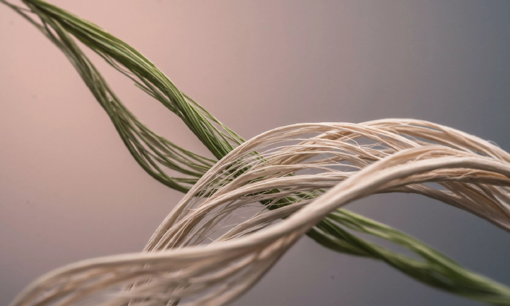 The Global Shift Toward Sustainable Manufacturing