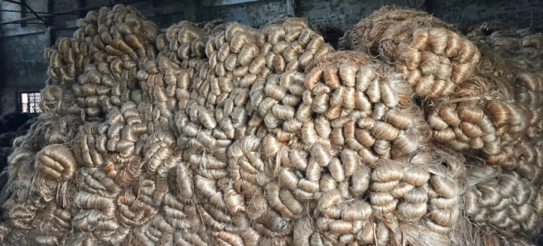 Why Raw Jute Is the Future of Eco-Friendly Manufacturing